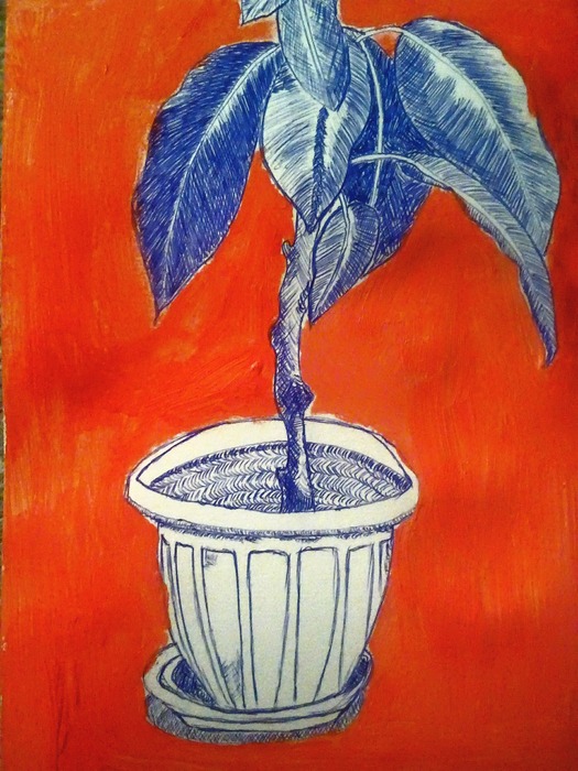 Fikusz (toll, olajpasztell)